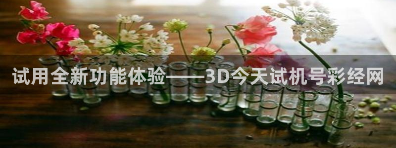 大满贯体育f开号：试用全新功能体验——3D今天试机号彩经网