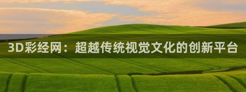 大满贯包怎么样：3D彩经网：超越传统视觉文化的创新平台