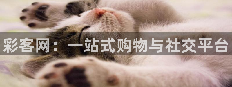 大满贯2注册：彩客网：一站式购物与社交平台