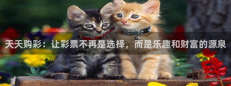 大满贯体育注册平台：天天购彩：让彩票不再是选择，而是乐趣和财富的源泉